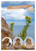 Gibraltar - Die Heimat der Berberaffen auf dem Rock (Tischkalender 2025 DIN A5 hoch), CALVENDO Monatskalender