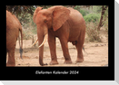 Elefanten Kalender 2024 Fotokalender DIN A3