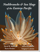 Nudibranchs & Sea Slugs of the Eastern Pacific