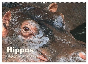 Herzog, Michael. Hippos - Begegnungen in Afrika (Wandkalender 2024 DIN A2 quer), CALVENDO Monatskalender - Wundervolle Hippo-Bilder aus Afrika. Calvendo Verlag, 2023.
