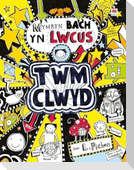 Cyfres Twm Clwyd: 6. Mymryn Bach yn Lwcus