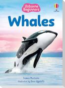 Whales (Usborne Beginners)