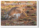 Beuteltiere Australiens (Wandkalender 2025 DIN A2 quer), CALVENDO Monatskalender