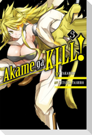 Akame Ga Kill!, Vol. 3