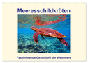 Meeresschildkröten ¿ Faszinierende Geschöpfe der Weltmeere (Wandkalender 2025 DIN A3 quer), CALVENDO Monatskalender