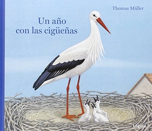 Rodríguez López, L. / Thomas Müller. Un año con las cigüeñas. Lóguez Ediciones, 2016.