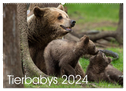 Tierbabys 2024 (Wandkalender 2024 DIN A2 quer), CALVENDO Monatskalender