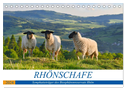 Rhönschafe - Symphatieträger des Biosphärenreservats Rhön (Tischkalender 2024 DIN A5 quer), CALVENDO Monatskalender