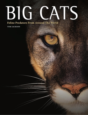 Jackson, Tom. Big Cats - Feline Predators From Around The World. Amber Books Ltd, 2026.