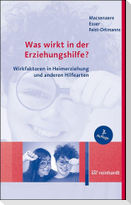 Was wirkt in der Erziehungshilfe?