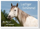 Lustiger Schimmel - ein Pferd mit Humor (Wandkalender 2024 DIN A2 quer), CALVENDO Monatskalender