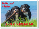 Ein Herz auf 4 Pfoten - Berner Sennenhund (Wandkalender 2024 DIN A2 quer), CALVENDO Monatskalender