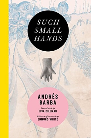 Barba, Andrés. Such Small Hands. Transit Books, 2017.