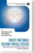 Density Functionals for Many-Particle Systems