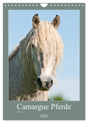 Camargue Pferde - weiße Mähnen (Wandkalender 2025 DIN A4 hoch), CALVENDO Monatskalender
