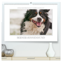 Emotionale Momente: Berner Sennenhund. (hochwertiger Premium Wandkalender 2025 DIN A2 quer), Kunstdruck in Hochglanz