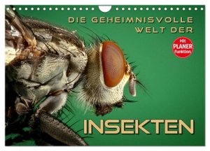 Bleicher, Renate. Die geheimnisvolle Welt der Insekten (Wandkalender 2024 DIN A4 quer), CALVENDO Monatskalender - Faszinierende Nahaufnahmen von verschiedenen Insekten. Calvendo Verlag, 2023.