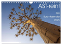 Astrein! - Der Baumkalender 2025 (Wandkalender 2025 DIN A4 quer), CALVENDO Monatskalender