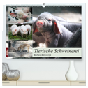 Tierische Schweinerei (hochwertiger Premium Wandkalender 2024 DIN A2 quer), Kunstdruck in Hochglanz