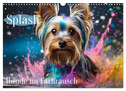 Splash - Hunde im Farbrausch (Wandkalender 2025 DIN A3 quer), CALVENDO Monatskalender
