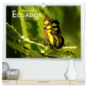 Ama la Vida Ecuador (hochwertiger Premium Wandkalender 2024 DIN A2 quer), Kunstdruck in Hochglanz