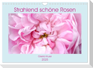 Strahlend schöne Rosen (Wandkalender 2025 DIN A4 quer), CALVENDO Monatskalender