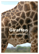 Giraffen - Anmut und Sanftheit (Wandkalender 2025 DIN A2 hoch), CALVENDO Monatskalender