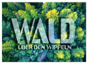 Wald - über den Wipfeln (Wandkalender 2024 DIN A2 quer), CALVENDO Monatskalender
