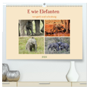 E wie Elefanten - verspielt und schnüssig (hochwertiger Premium Wandkalender 2024 DIN A2 quer), Kunstdruck in Hochglanz