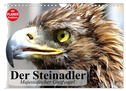 Der Steinadler. Majestätischer Greifvogel (Wandkalender 2024 DIN A4 quer), CALVENDO Monatskalender