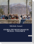 STORIA DEI MUSULMANI DI SICILIA - VOLUME II