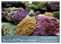 Bunte Riffbewohner - Fische, Anemonen und noch viel mehr (Wandkalender 2024 DIN A4 quer), CALVENDO Monatskalender