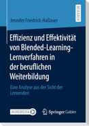 Effizienz und Effektivität von Blended-Learning-Lernverfahren in der beruflichen Weiterbildung