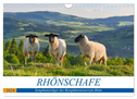 Rhönschafe - Symphatieträger des Biosphärenreservats Rhön (Wandkalender 2024 DIN A4 quer), CALVENDO Monatskalender