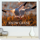 SNOW GEESE (Premium, hochwertiger DIN A2 Wandkalender 2023, Kunstdruck in Hochglanz)