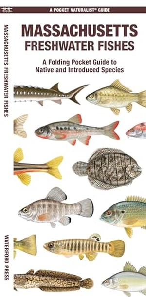 Waterford Press. Massachusetts Freshwater Fishes. Waterford Press, 2024.