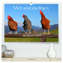 Wir sind die Stars am Bauernhof (hochwertiger Premium Wandkalender 2025 DIN A2 quer), Kunstdruck in Hochglanz