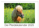 Der Pferdekalender (Wandkalender 2025 DIN A4 quer), CALVENDO Monatskalender