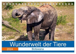 Fritsche, Dirk. Wunderwelt der Tiere - Botswana (Tischkalender 2024 DIN A5 quer), CALVENDO Monatskalender - Mit atemberaubenden Tieraufnahmen aus Botswana durch das Jahr. Calvendo, 2023.