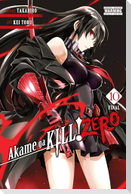Akame Ga Kill! Zero, Vol. 10