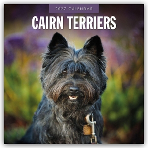 Red, Robin. Cairn Terriers - Cairn Terrier 2027 - 16-Monatskalender - Original Red Robin Publishing Ltd-Kalender [Mehrsprachig] [Kalender]. Browntrout Verlags GmbH, 2026.