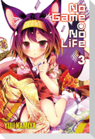 No Game No Life, Vol. 3