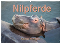 Nilpferde, Kolosse im Wasser (Wandkalender 2024 DIN A2 quer), CALVENDO Monatskalender