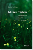 Glühwürmchen