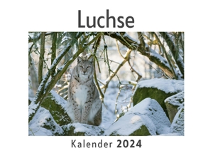 Müller, Anna. Luchse (Wandkalender 2024, Kalender DIN A4 quer, Monatskalender im Querformat mit Kalendarium, Das perfekte Geschenk). 27amigos, 2023.
