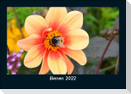 Bienen 2022 Fotokalender DIN A5