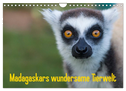 Madagaskars wundersame Tierwelt (Wandkalender 2024 DIN A4 quer), CALVENDO Monatskalender