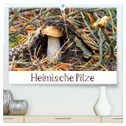 Heimische Pilze (hochwertiger Premium Wandkalender 2025 DIN A2 quer), Kunstdruck in Hochglanz