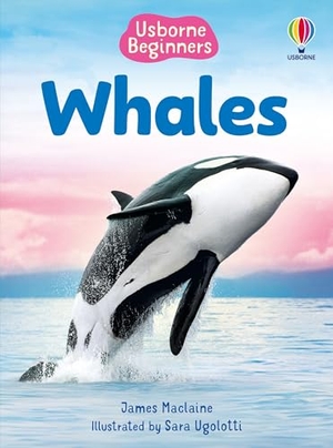 Maclaine, James. Beginners Whales. Usborne Publishing Ltd, 2025.