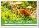 Schätze des Waldes - Pilze (Tischkalender 2025 DIN A5 quer), CALVENDO Monatskalender